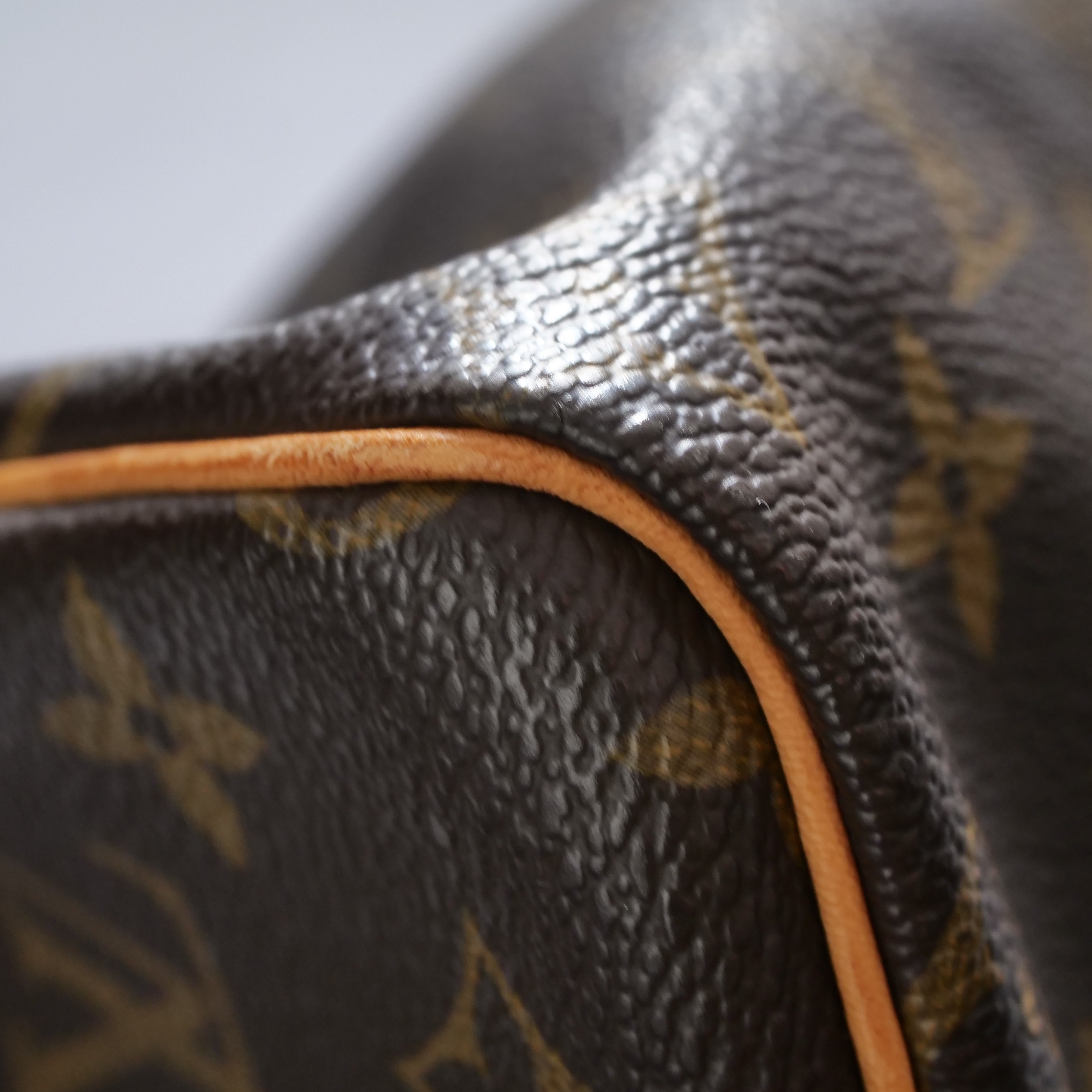 LOUIS VUITTON Speedy 25 Monogram Hand Bag
