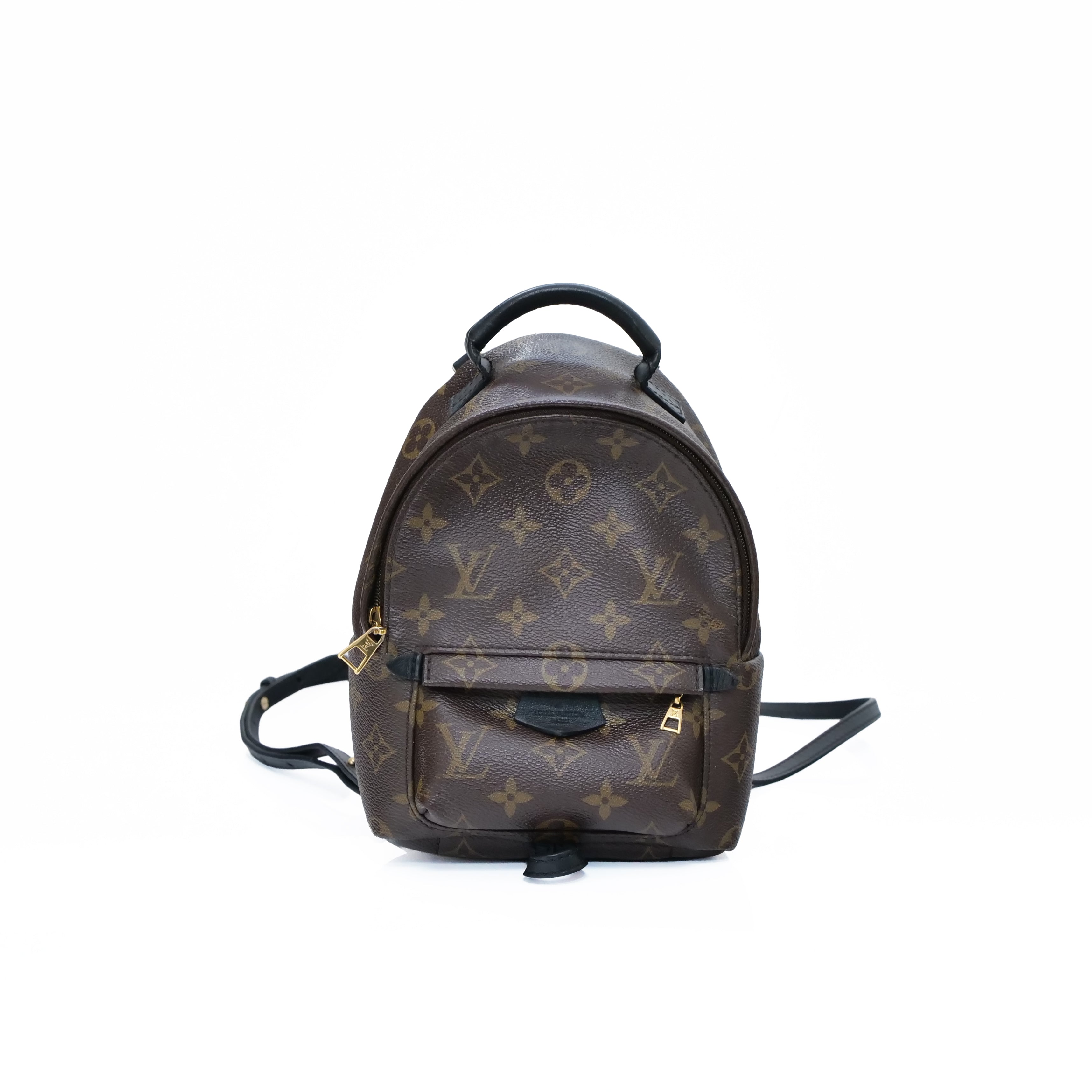 LOUIS VUITTON Monogram Palm Springs Mini Backpack M44873
