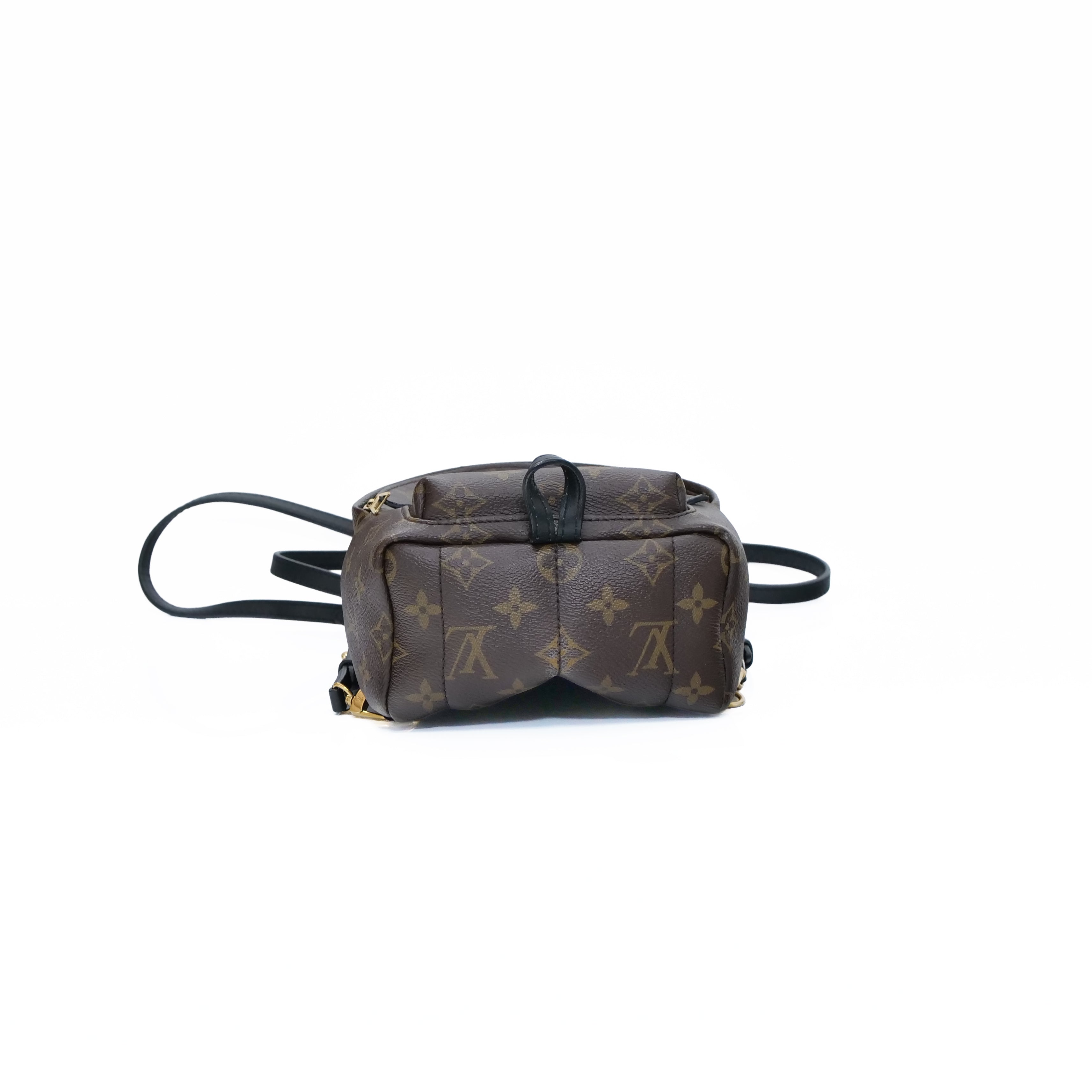 LOUIS VUITTON Monogram Palm Springs Mini Backpack M44873