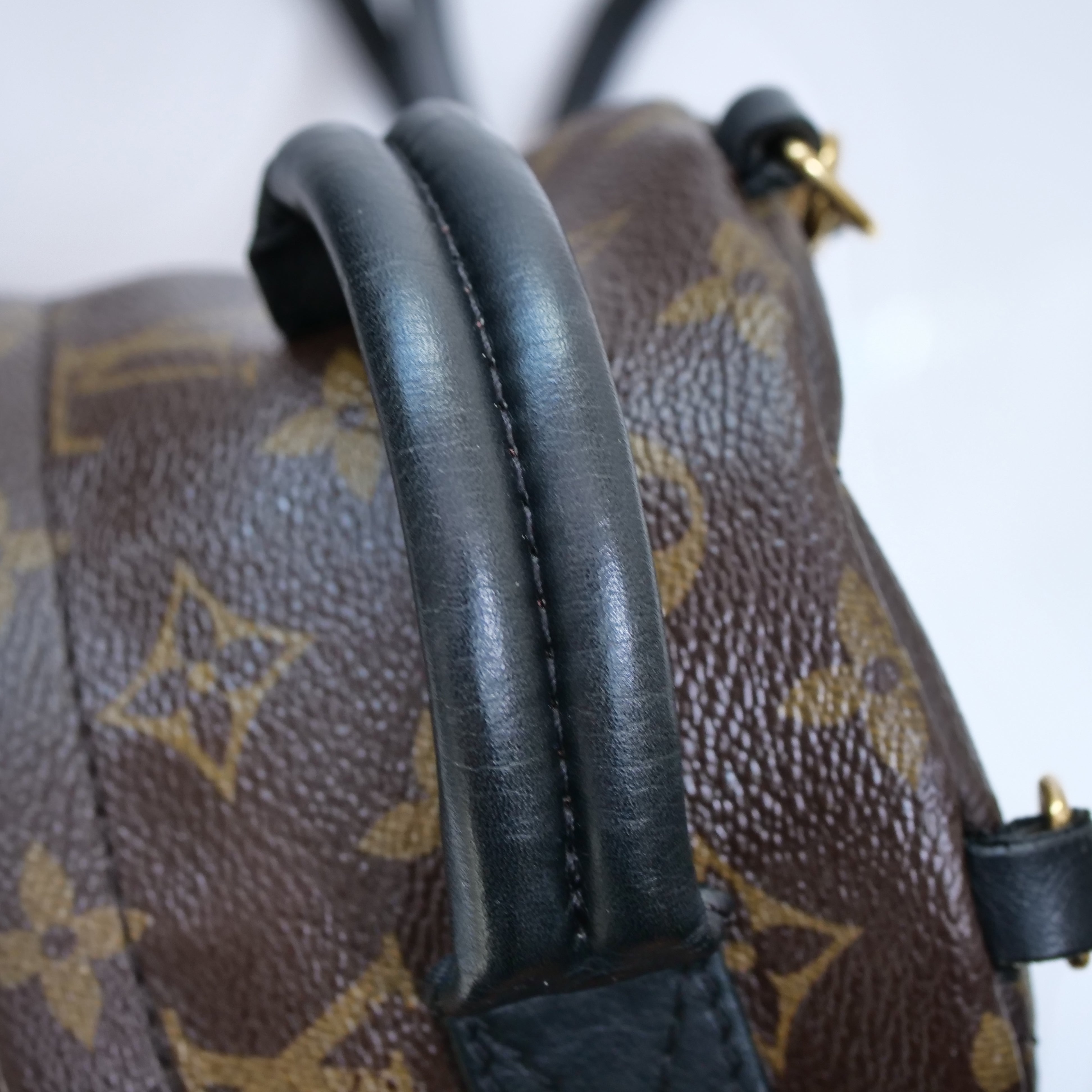 LOUIS VUITTON Monogram Palm Springs Mini Backpack M44873