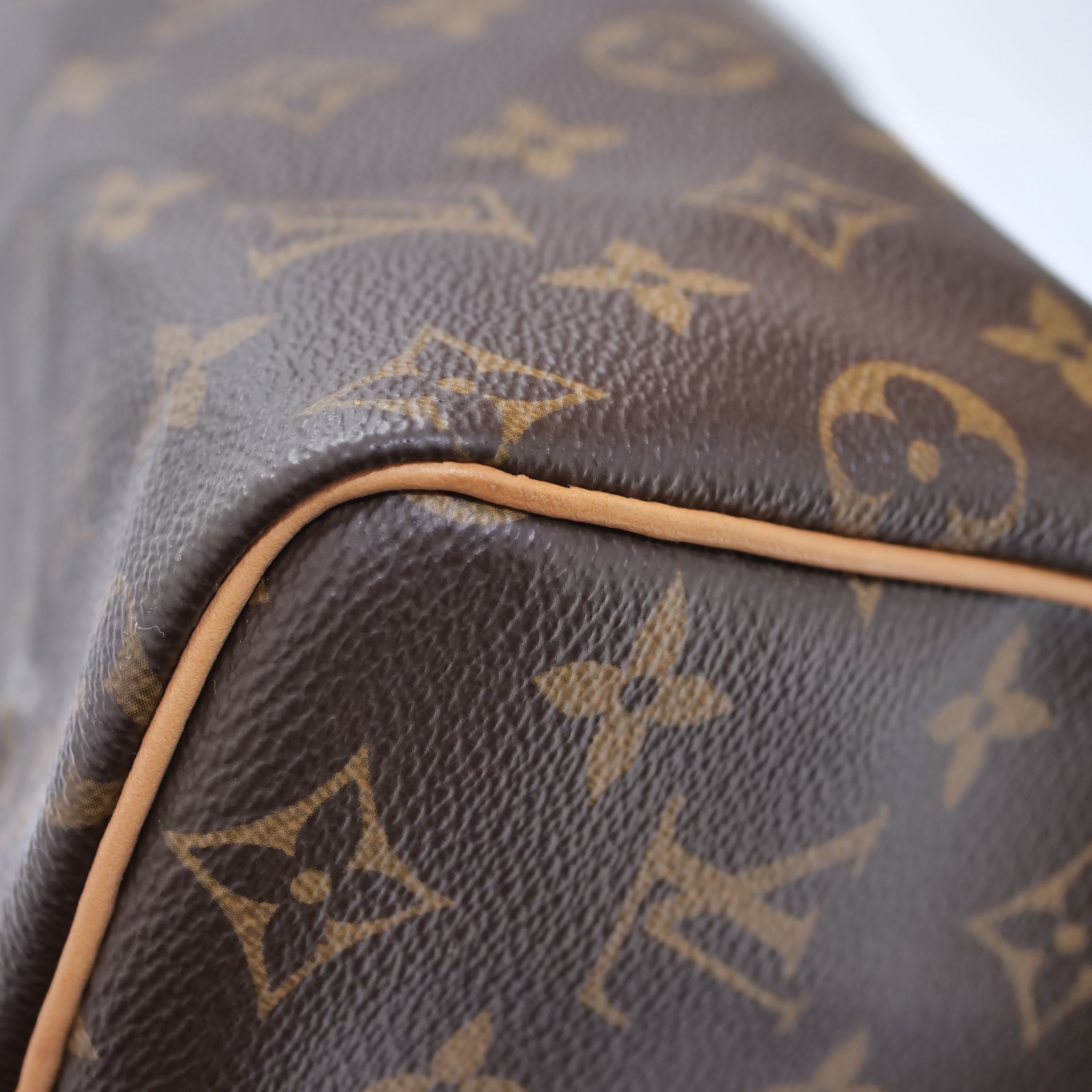 LOUIS VUITTON Monogram Speedy 25 Hand Bag New Model RFID