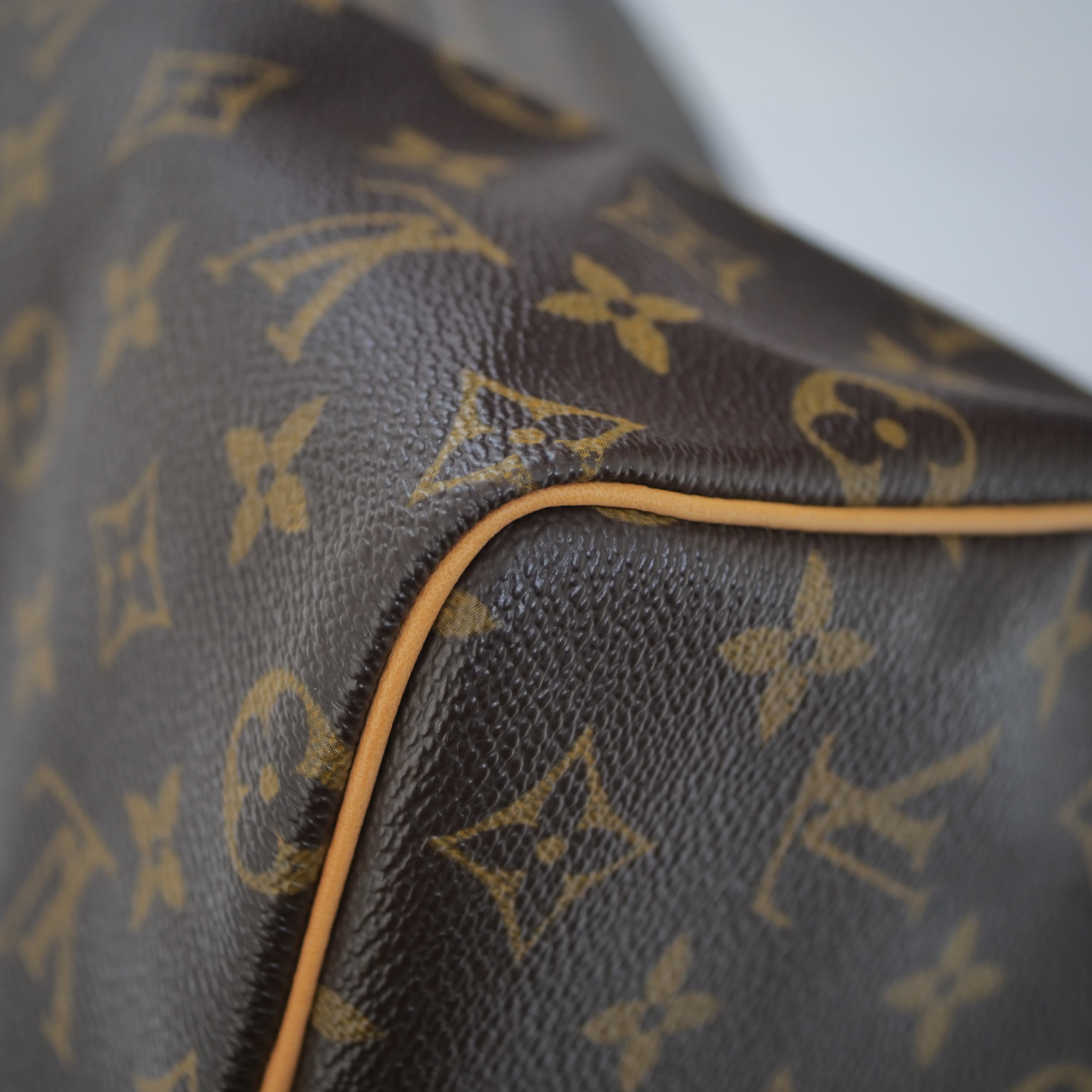 LOUIS VUITTON Speedy 25 Monogram Hand Bag M41528