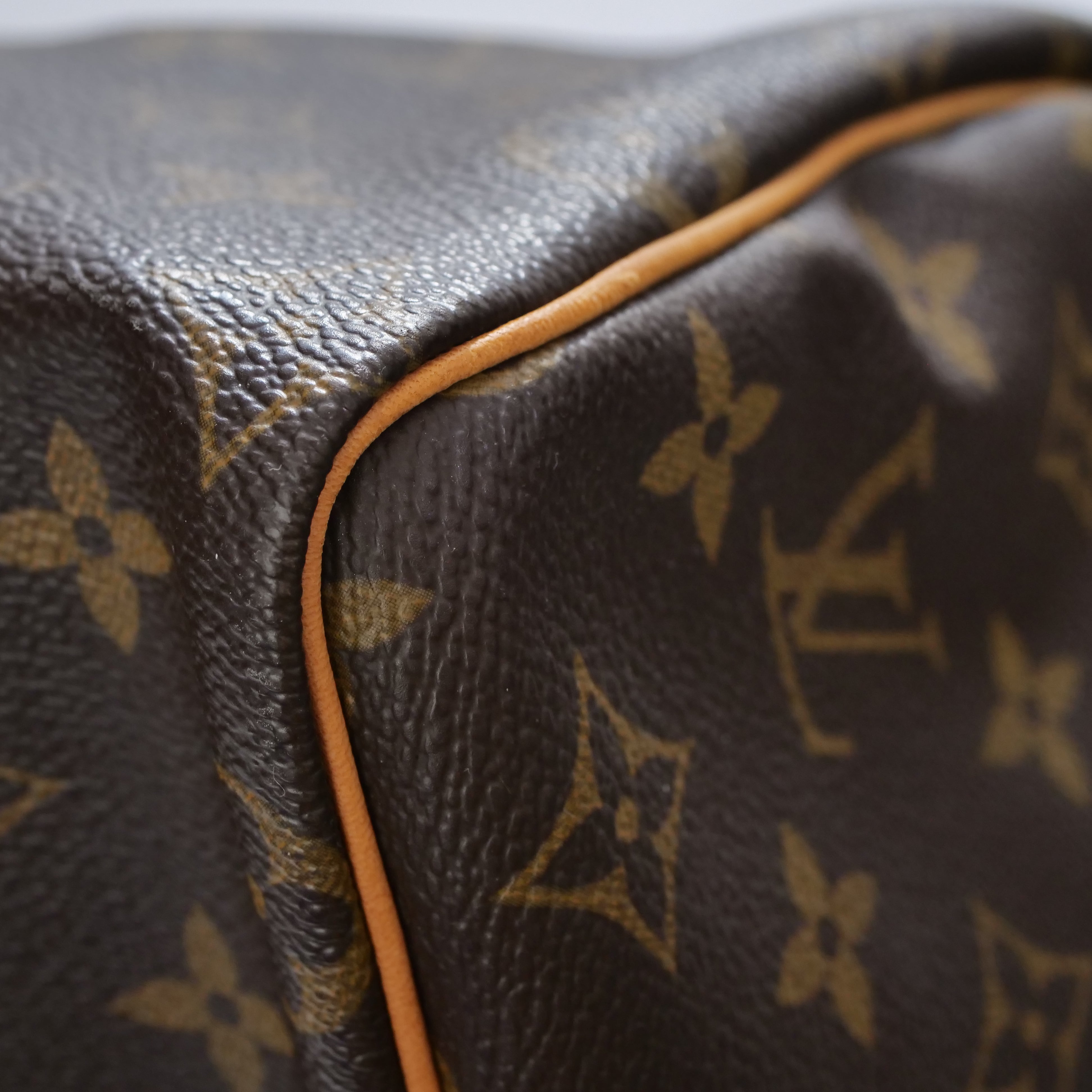 LOUIS VUITTON Speedy 25 Monogram Hand Bag
