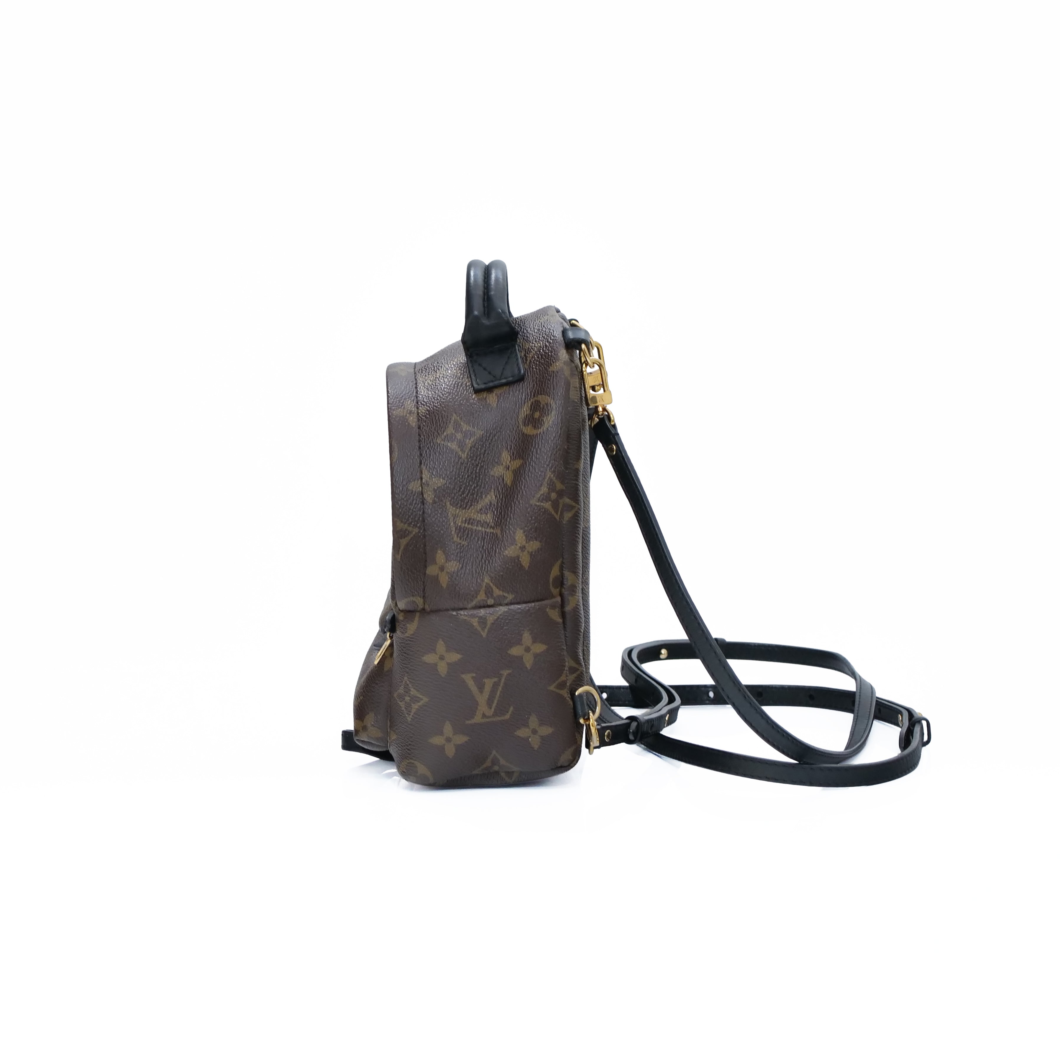 LOUIS VUITTON Monogram Palm Springs Mini Backpack M44873