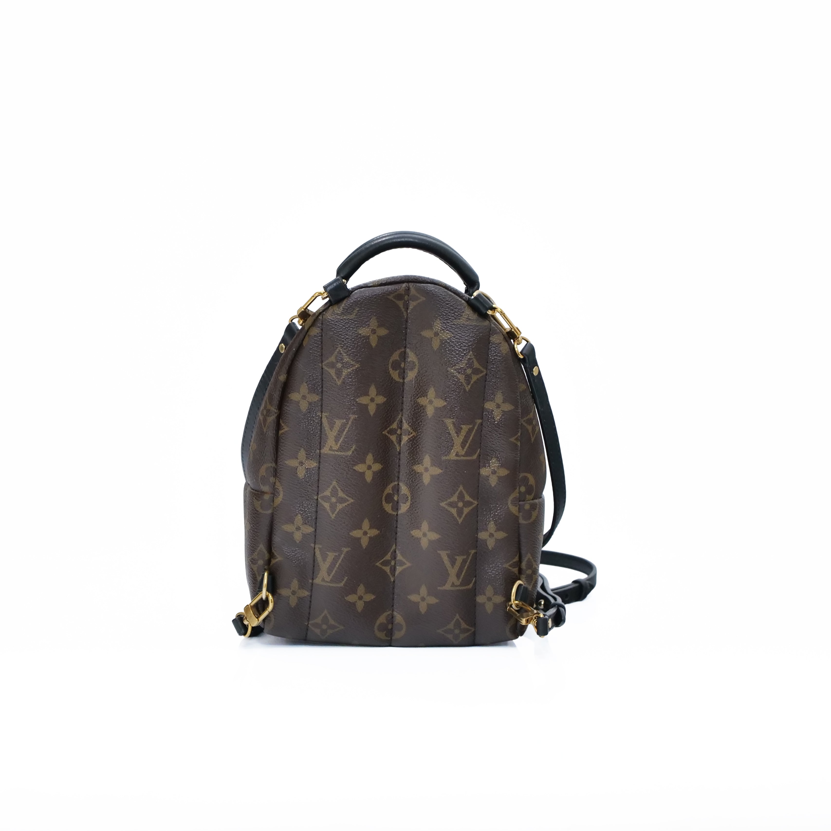 LOUIS VUITTON Monogram Palm Springs Mini Backpack M44873