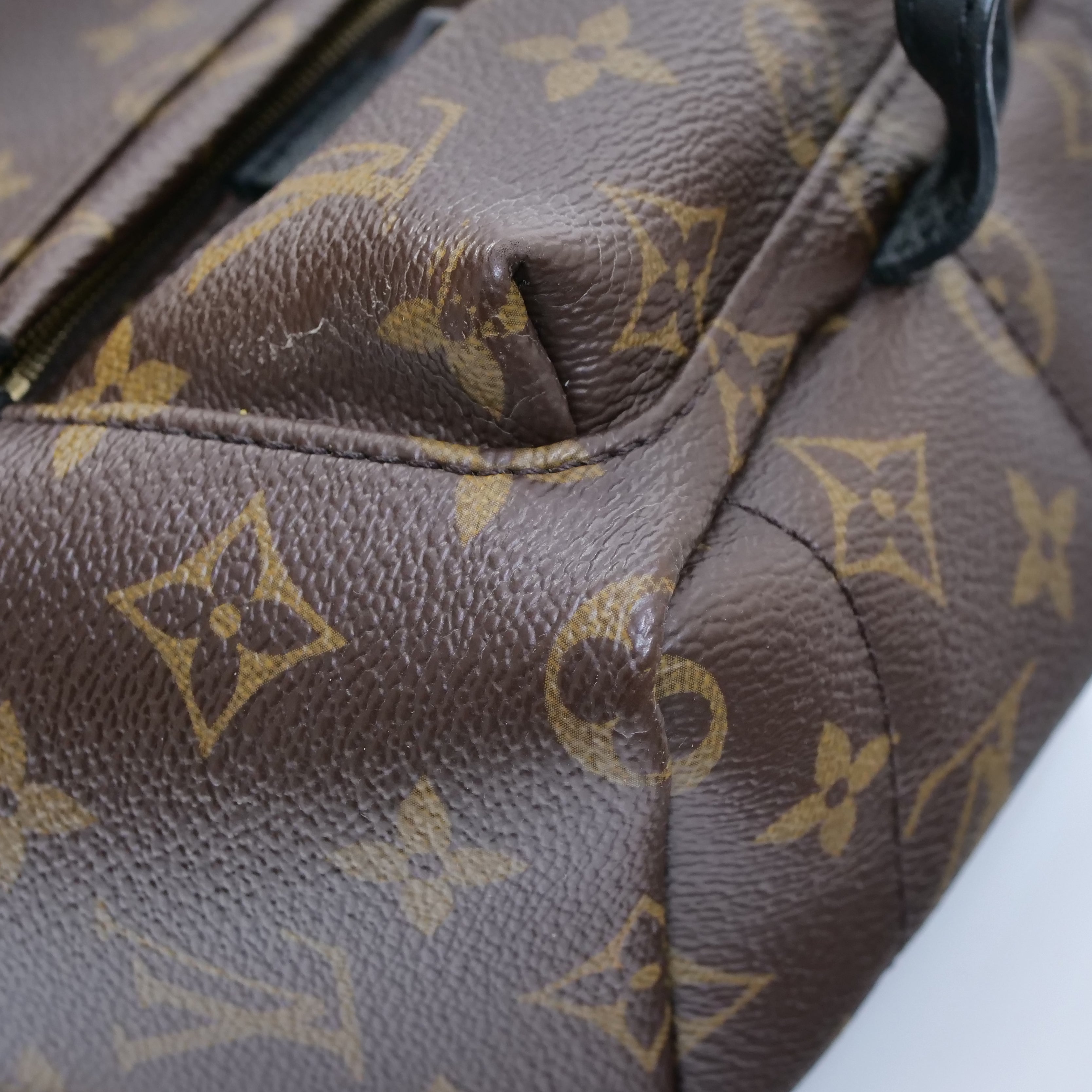 LOUIS VUITTON Monogram Palm Springs Mini Backpack M44873