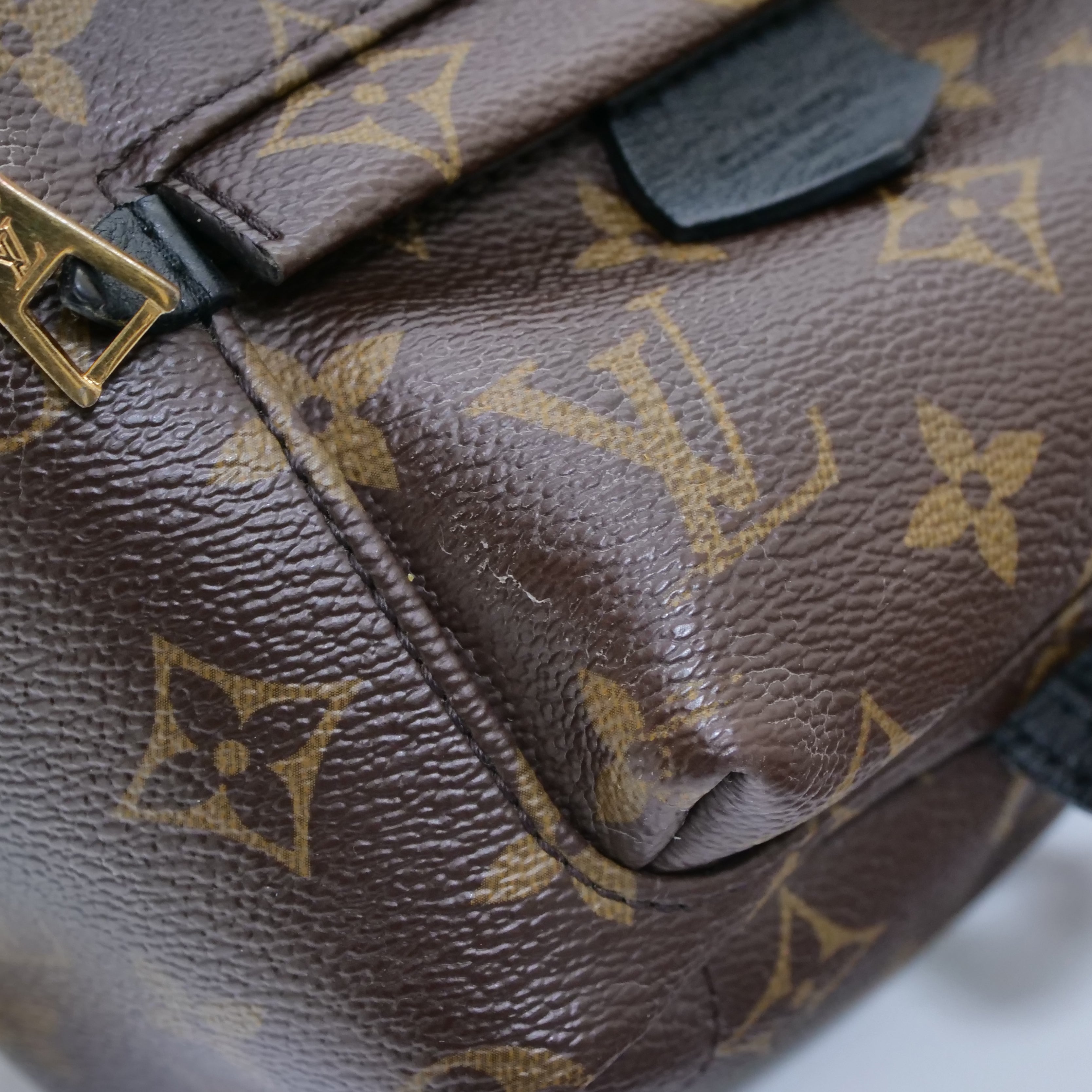 LOUIS VUITTON Monogram Palm Springs Mini Backpack M44873