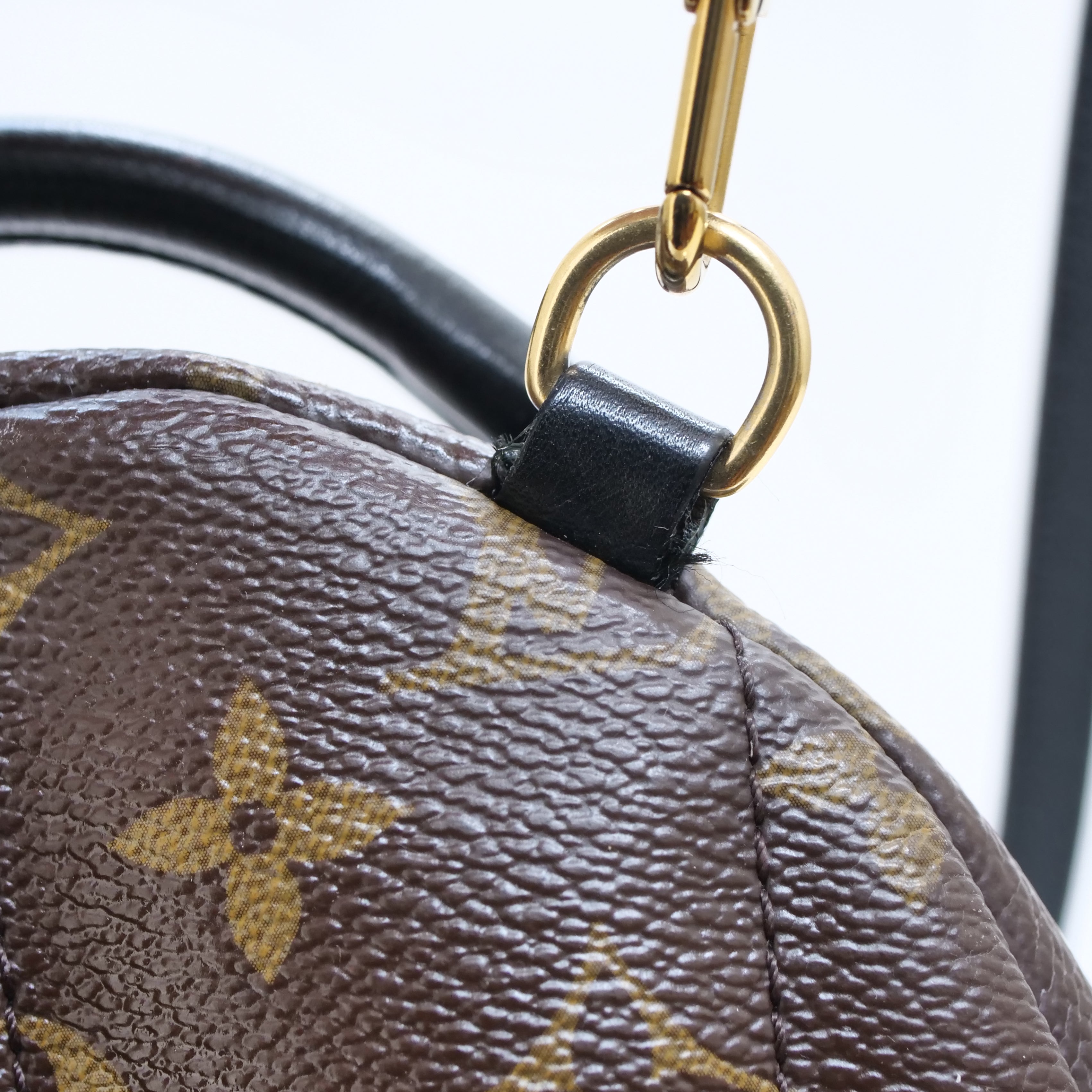LOUIS VUITTON Monogram Palm Springs Mini Backpack M44873