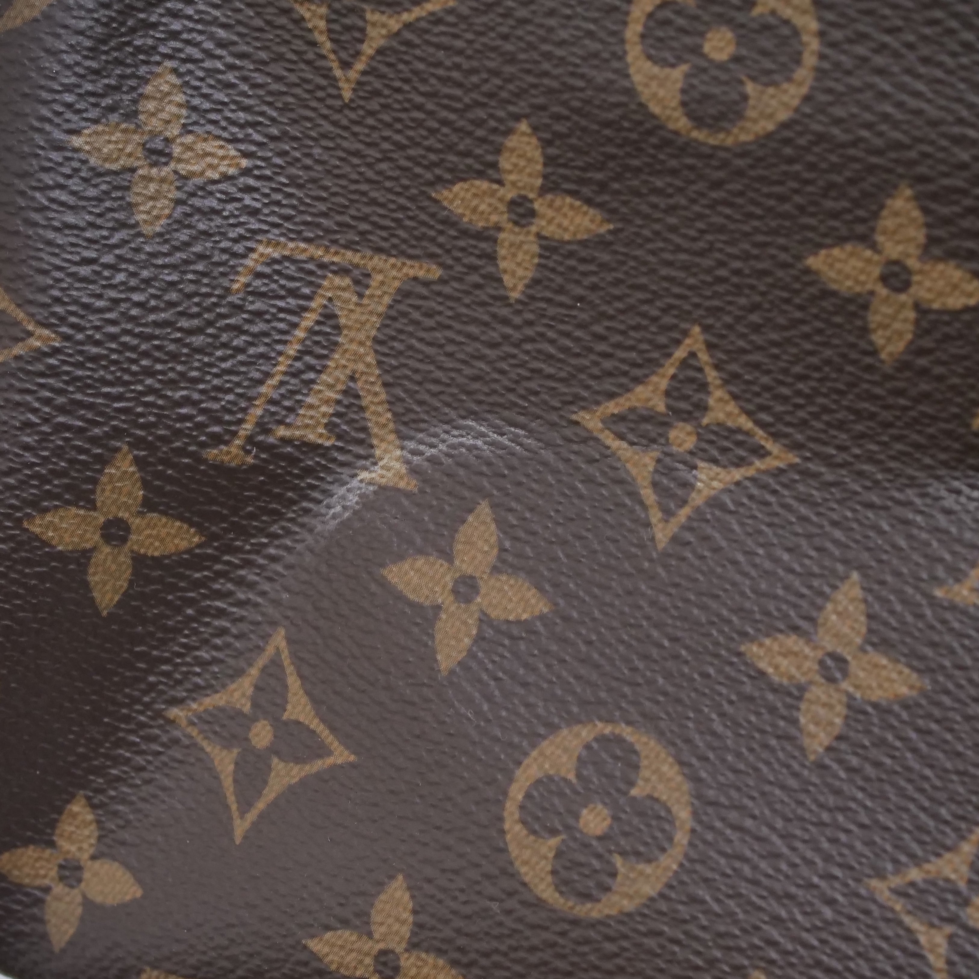 LOUIS VUITTON Monogram Speedy 25 Hand Bag New Model RFID